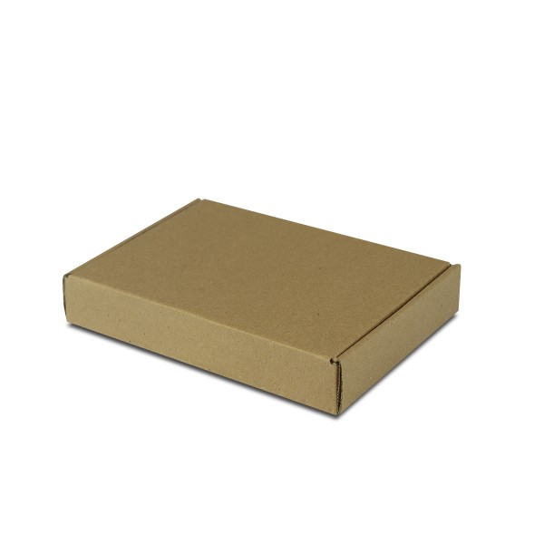 25 Caixas Lisa de Papelão Pac Mini Envios 21x15x3,5